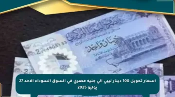 أسعار تحويل 100 دينار ليبي إلى جنيه مصري في السوق السوداء الأحد 27 يوليو 2025